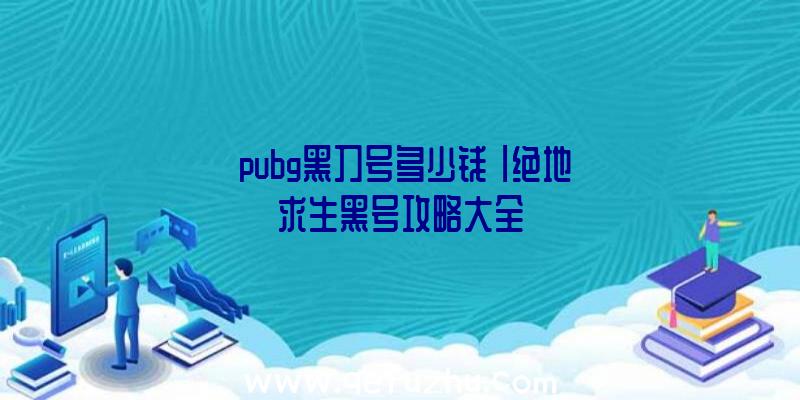 「pubg黑刀号多少钱」|绝地求生黑号攻略大全